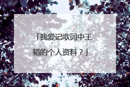 我爱记歌词中王韬的个人资料？