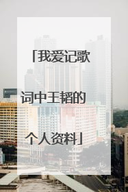 我爱记歌词中王韬的个人资料