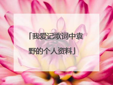 我爱记歌词中袁野的个人资料