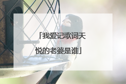 我爱记歌词天悦的老婆是谁