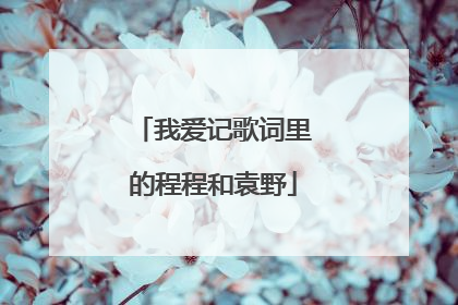 我爱记歌词里的程程和袁野