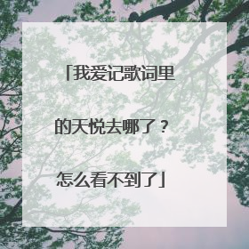 我爱记歌词里的天悦去哪了？怎么看不到了