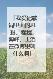 我爱记歌词里面的思琪、程程、海峰、王滔在微博里叫什么啊