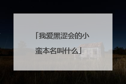 我爱黑涩会的小蛮本名叫什么