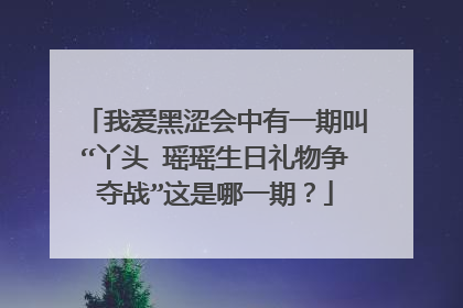 我爱黑涩会中有一期叫“丫头 瑶瑶生日礼物争夺战”这是哪一期？