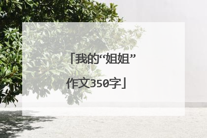 我的“姐姐”作文350字