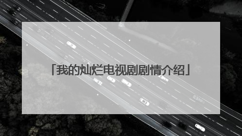 我的灿烂电视剧剧情介绍
