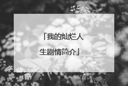 我的灿烂人生剧情简介