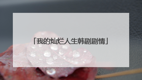 我的灿烂人生韩剧剧情