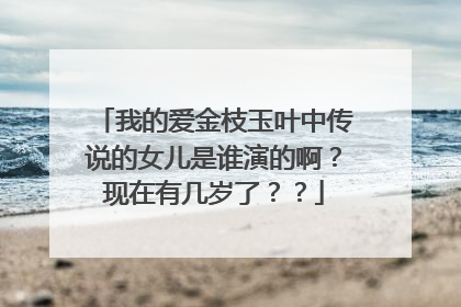 我的爱金枝玉叶中传说的女儿是谁演的啊？现在有几岁了？？