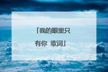 我的眼里只有你 歌词