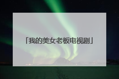 我的美女老板电视剧