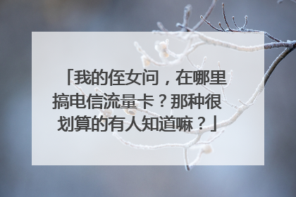 我的侄女问,在哪里搞电信流量卡?那种很划算的有人知道嘛?