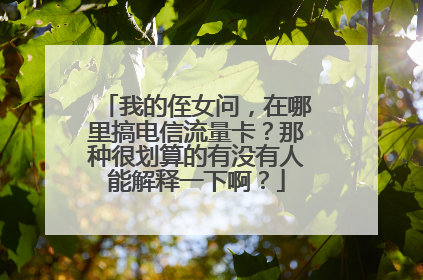 我的侄女问,在哪里搞电信流量卡?那种很划算的有没有人能解释一下啊?