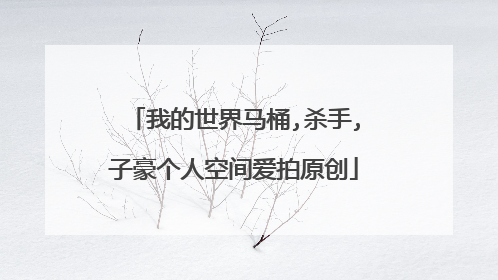 我的世界马桶,杀手,子豪个人空间爱拍原创