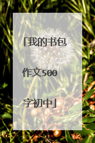 我的书包作文500字初中