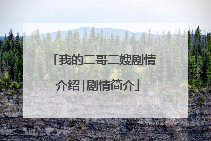 我的二哥二嫂剧情介绍|剧情简介