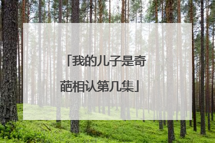 我的儿子是奇葩相认第几集