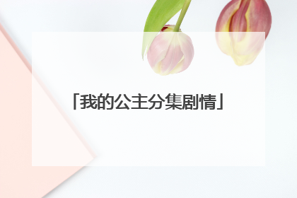 我的公主分集剧情