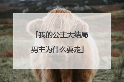 我的公主大结局男主为什么要走