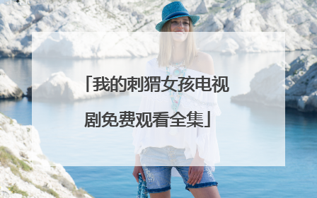 我的刺猬女孩电视剧免费观看全集