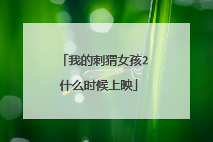 我的刺猬女孩2什么时候上映