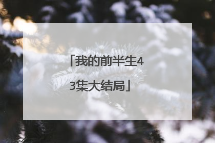 我的前半生43集大结局