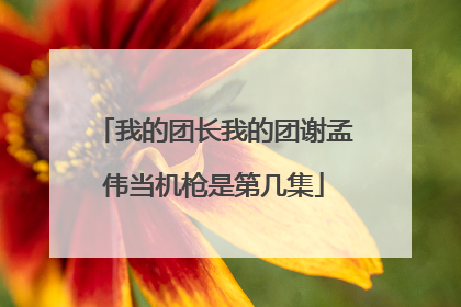 我的团长我的团谢孟伟当机枪是第几集