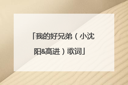 我的好兄弟（小沈阳&高进）歌词