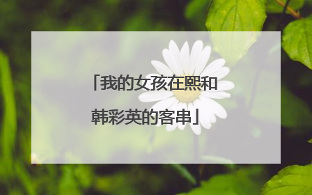 我的女孩在熙和韩彩英的客串