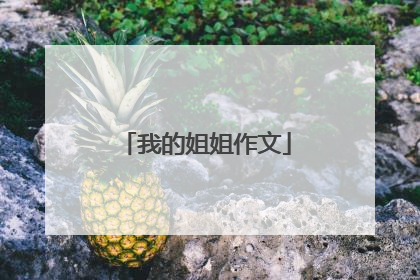 我的姐姐作文