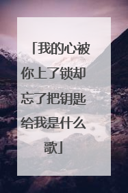 我的心被你上了锁却忘了把钥匙给我是什么歌