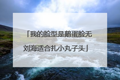 我的脸型是鹅蛋脸无刘海适合扎小丸子头