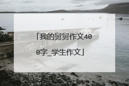 我的舅舅作文400字_学生作文