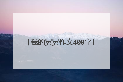 我的舅舅作文400字
