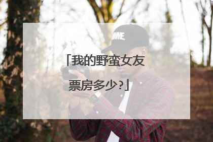 我的野蛮女友票房多少?