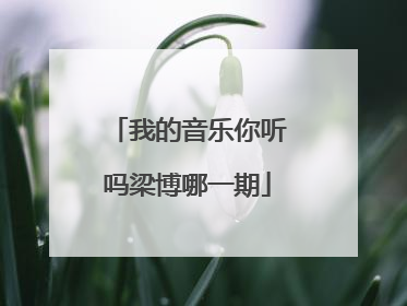 我的音乐你听吗梁博哪一期