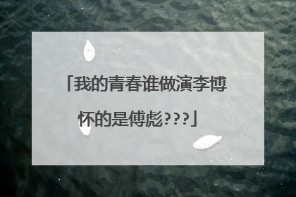 我的青春谁做演李博怀的是傅彪???