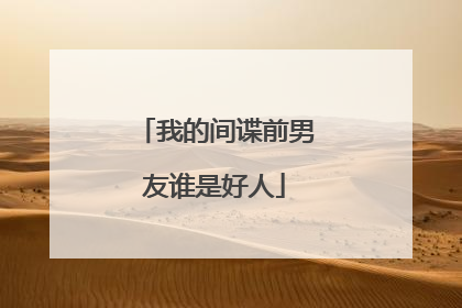 我的间谍前男友谁是好人