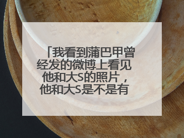 我看到蒲巴甲曾经发的微博上看见他和大S的照片,他和大S是不是有合作过?那是合作什么片子呢?