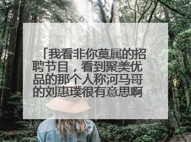 我看非你莫属的招聘节目,看到聚美优品的那个人称河马哥的刘惠璞很有意思啊,他是什么来头啊?求解答。