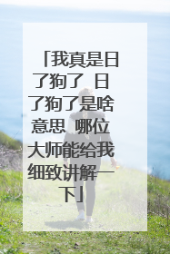 我真是日了狗了 日了狗了是啥意思 哪位大师能给我细致讲解一下