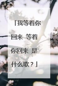 我等着你回来 等着你回来 是什么歌?