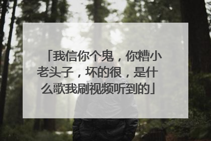 我信你个鬼，你糟小老头子，坏的很，是什么歌我刷视频听到的