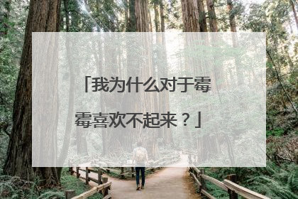 我为什么对于霉霉喜欢不起来?