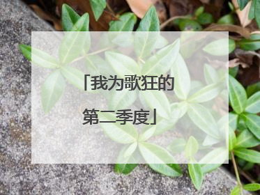 我为歌狂的第二季度