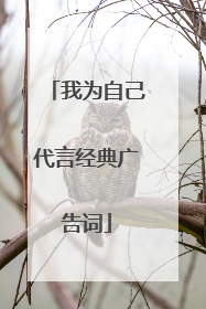 我为自己代言经典广告词