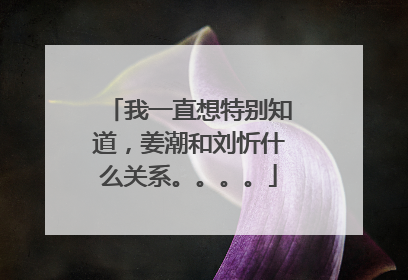 我一直想特别知道，姜潮和刘忻什么关系。。。。