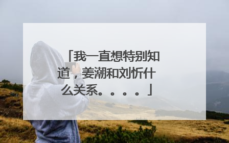 我一直想特别知道,姜潮和刘忻什么关系。。。。