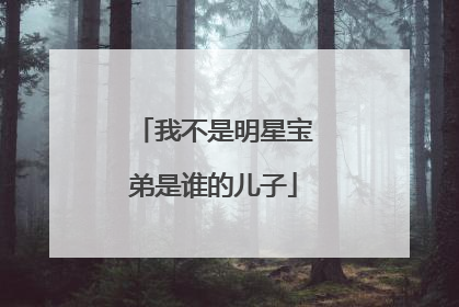 我不是明星宝弟是谁的儿子